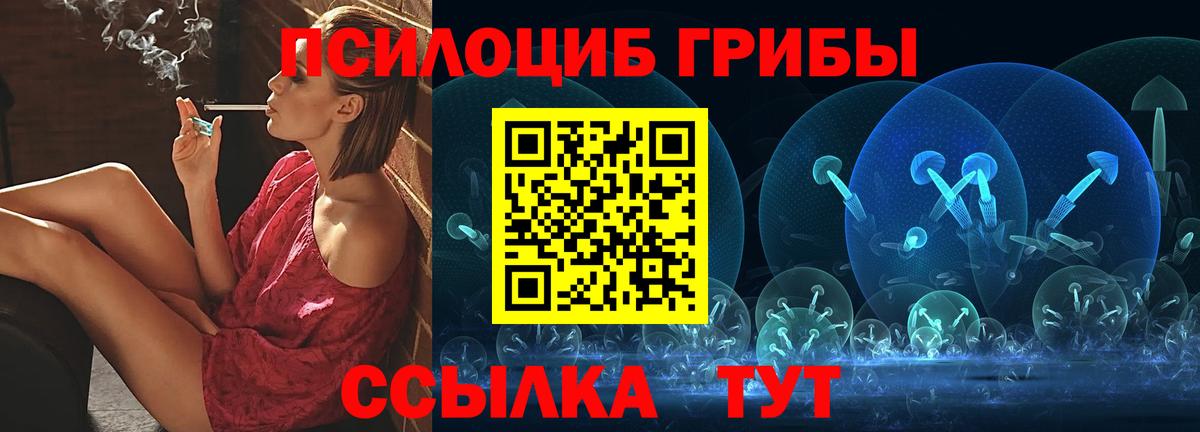 Галлюциногенные грибы Psilocybine cubensis Арсеньев